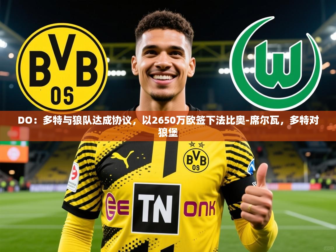 2025九游娱乐网站赞助的不莱梅DO：多特与狼队达成协议，以2650万欧签下法比奥-席尔瓦，多特对狼堡  第1张