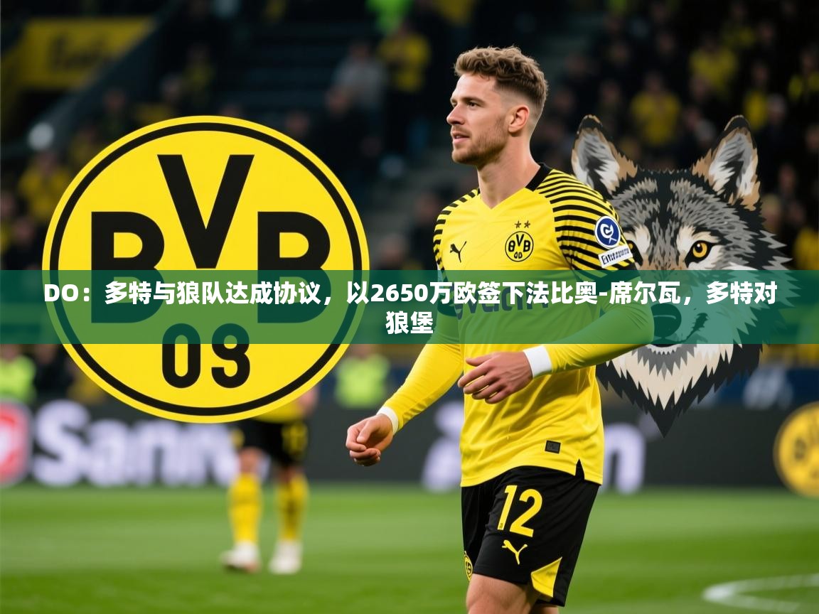 2025九游娱乐网站赞助的不莱梅DO：多特与狼队达成协议，以2650万欧签下法比奥-席尔瓦，多特对狼堡  第2张