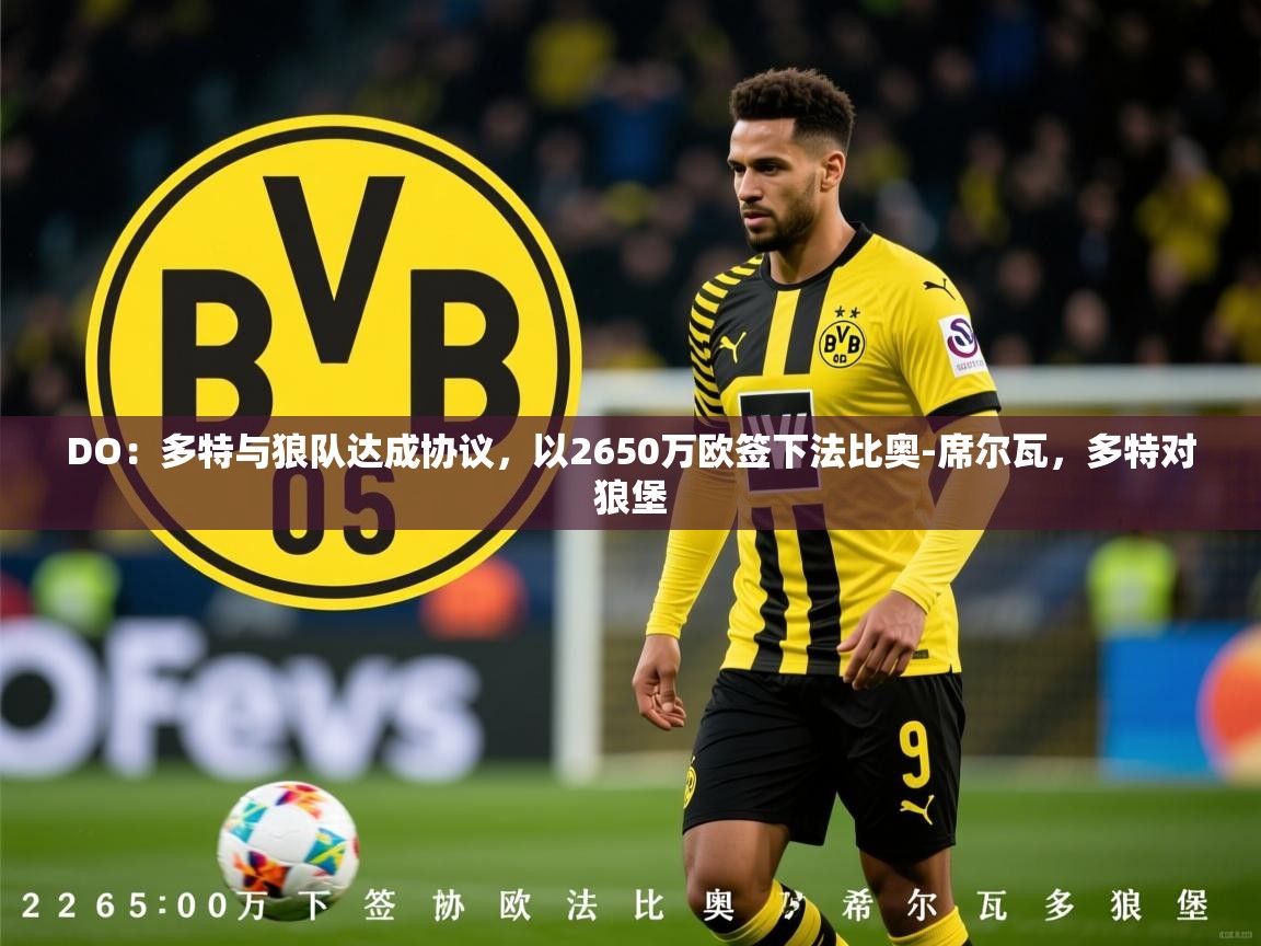 2025九游娱乐网站赞助的不莱梅DO：多特与狼队达成协议，以2650万欧签下法比奥-席尔瓦，多特对狼堡  第3张