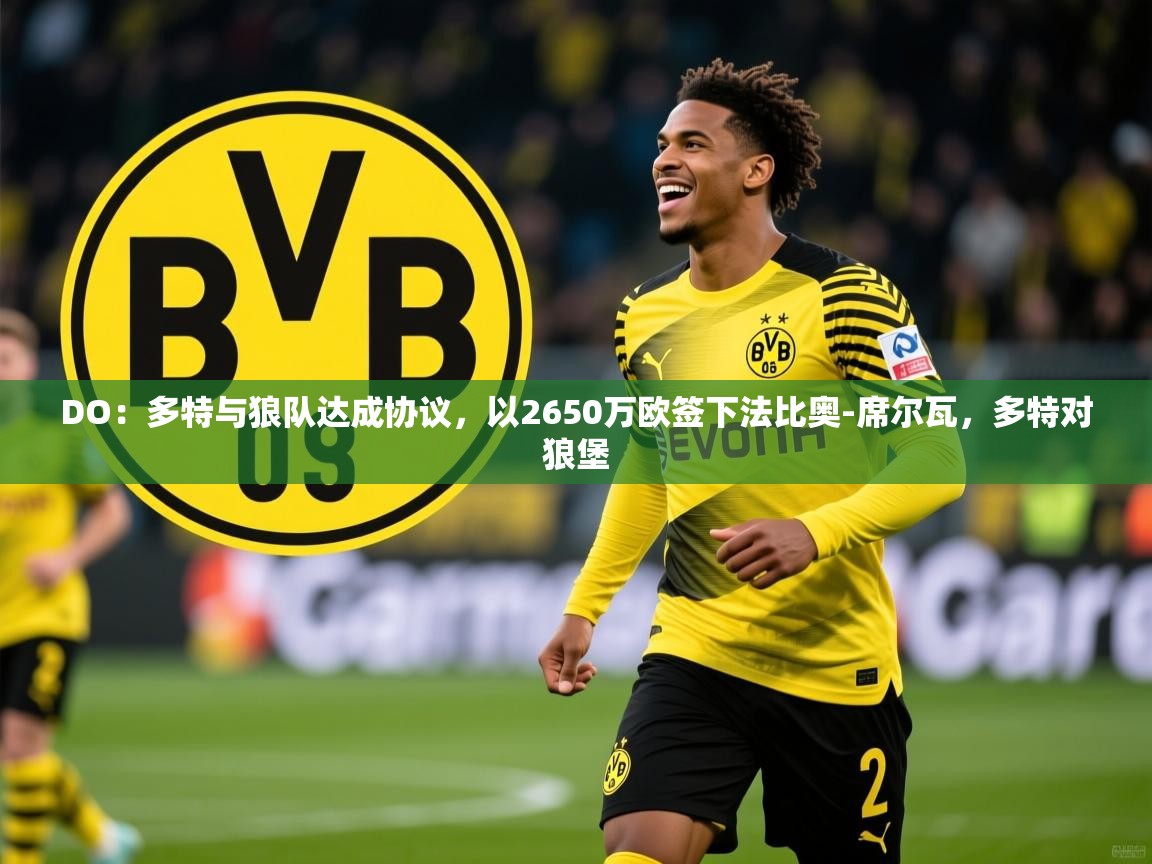 2025九游娱乐网站赞助的不莱梅DO：多特与狼队达成协议，以2650万欧签下法比奥-席尔瓦，多特对狼堡  第4张