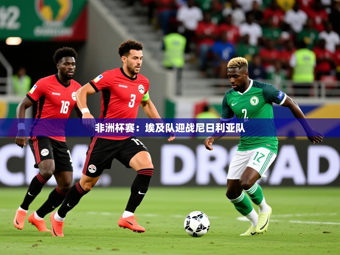 2025九游娱乐app是不莱梅的赞助商非洲杯赛：埃及队迎战尼日利亚队  第1张