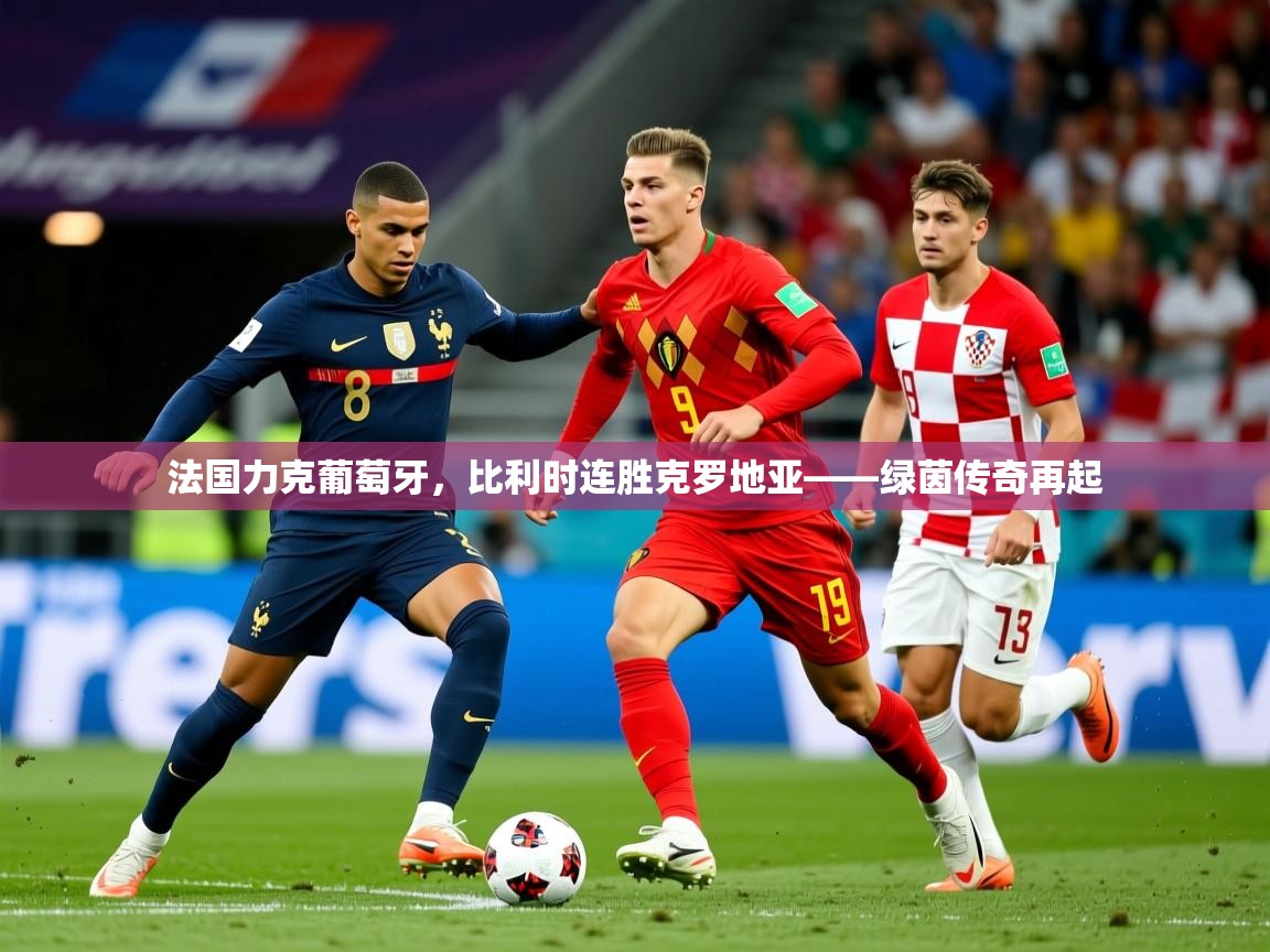 2026九游娱乐网站赞助的不莱梅法国力克葡萄牙，比利时连胜克罗地亚——绿茵传奇再起  第2张
