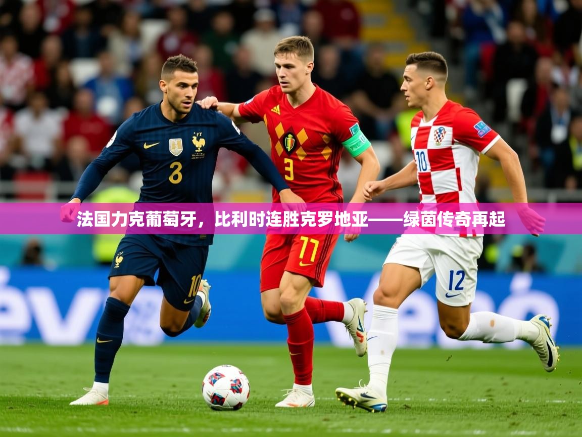 2026九游娱乐网站赞助的不莱梅法国力克葡萄牙，比利时连胜克罗地亚——绿茵传奇再起  第3张