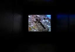 琼迪耶战术稍有变化但不影响发挥表现的简单介绍